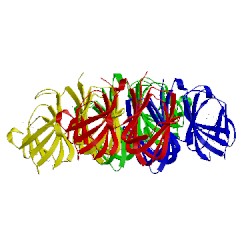 Image of CATH 1yll