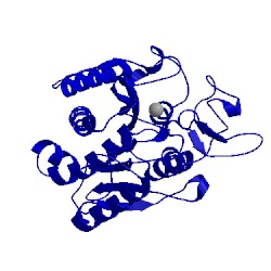 Image of CATH 1yme