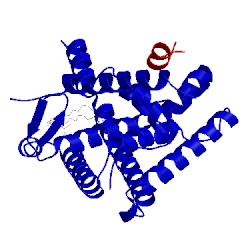 Image of CATH 1ymt