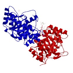 Image of CATH 1ynq