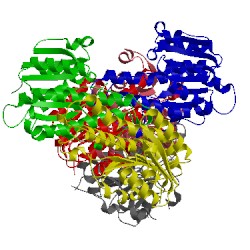 Image of CATH 1yo6