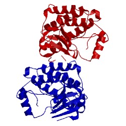 Image of CATH 1yoj