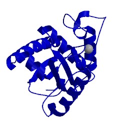 Image of CATH 1yp1