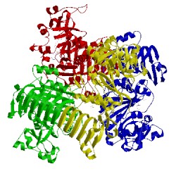 Image of CATH 1yp4