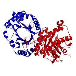 Image of CATH 1ypi