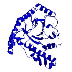 Image of CATH 1ypx
