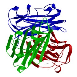 Image of CATH 1yq6