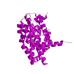 Image of CATH 1yrlD02