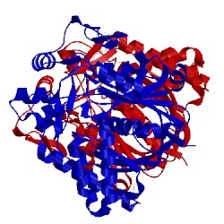 Image of CATH 1ysl