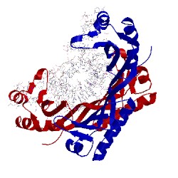 Image of CATH 1ytb