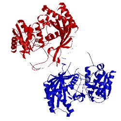 Image of CATH 1ytu