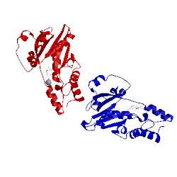 Image of CATH 1yun