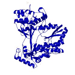 Image of CATH 1yv2