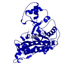 Image of CATH 1yw9