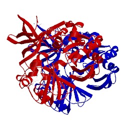 Image of CATH 1yx2