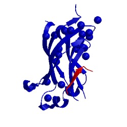 Image of CATH 1yy6