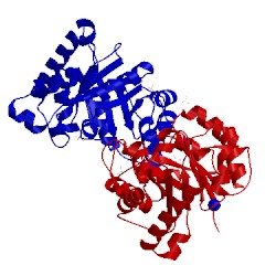 Image of CATH 1yya