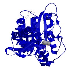 Image of CATH 1yyz