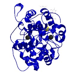 Image of CATH 1yzr