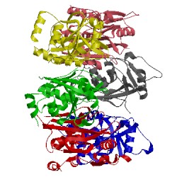 Image of CATH 1z0e