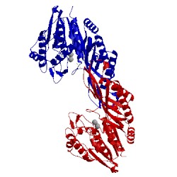 Image of CATH 1z2l
