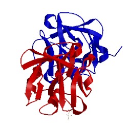 Image of CATH 1z2v