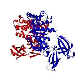 Image of CATH 1z47