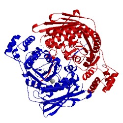Image of CATH 1z5c