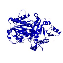 Image of CATH 1z6a