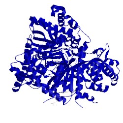 Image of CATH 1z6q