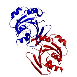 Image of CATH 1z6y