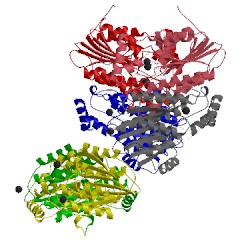 Image of CATH 1z6z