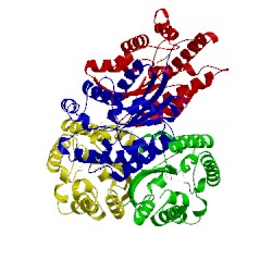 Image of CATH 1z8h