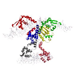 Image of CATH 1z9c