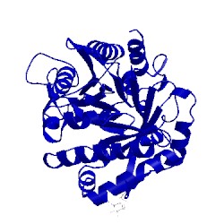 Image of CATH 1zb5