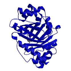Image of CATH 1zb6