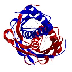 Image of CATH 1zb8