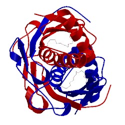 Image of CATH 1zb9