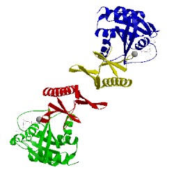 Image of CATH 1zc4