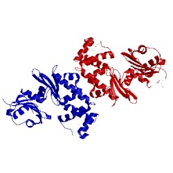Image of CATH 1zc6