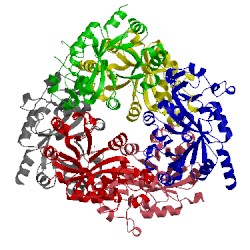 Image of CATH 1zcc