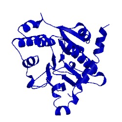 Image of CATH 1zcu