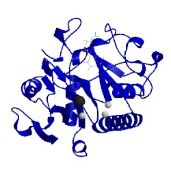 Image of CATH 1zj1
