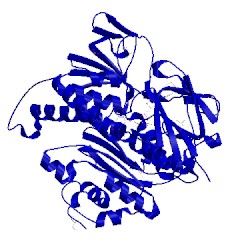 Image of CATH 1zk7