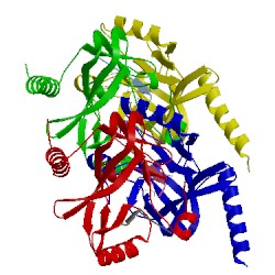 Image of CATH 1zkk
