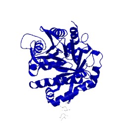 Image of CATH 1zl1