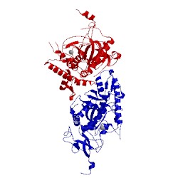 Image of CATH 1zl6