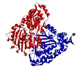 Image of CATH 1zlq