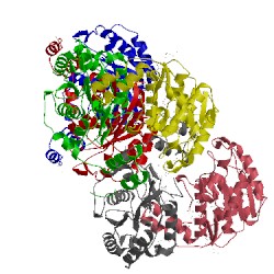 Image of CATH 1zmb