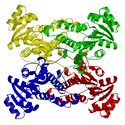 Image of CATH 1zmt